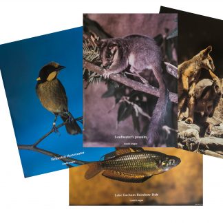 Gould League Endangered Species Poster Pack