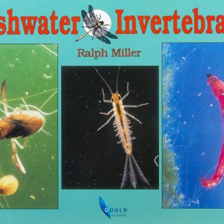 Freshwater Invertebrates Book Gould League