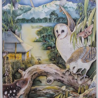 Bush Nightlife of South Eastern Australia