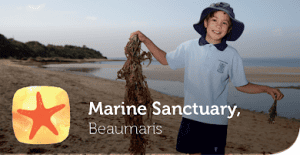 Gould League excursions at Ricketts Point Marine Sanctuary